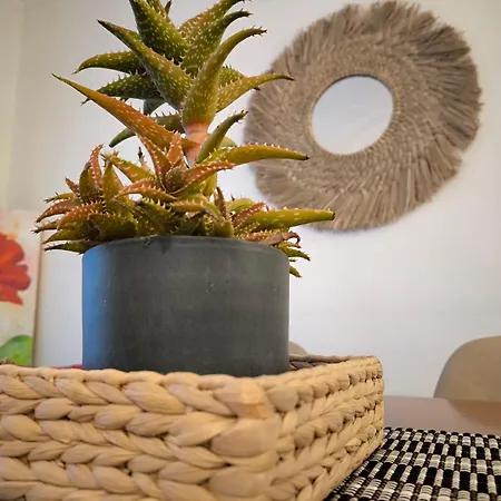 公寓 Sunset Varandas Do Sol 3 波尔蒂芒